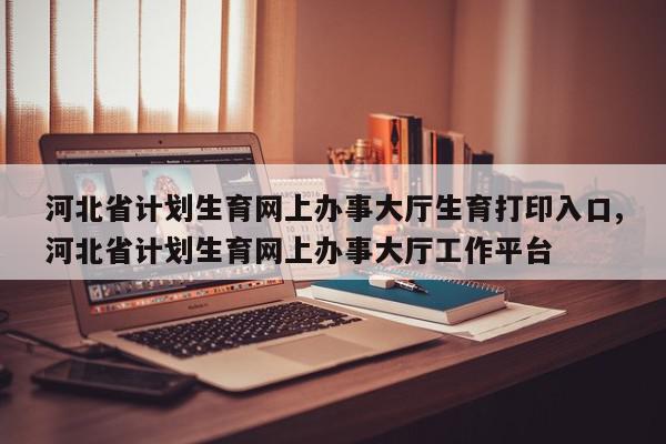 河北省计划生育网上办事大厅生育打印入口,河北省计划生育网上办事大厅工作平台